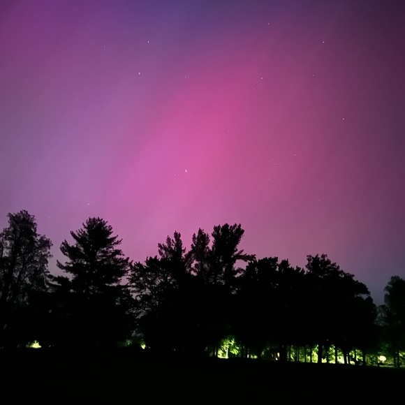 Meet your Posher, Bailey - Picture 1 of 1